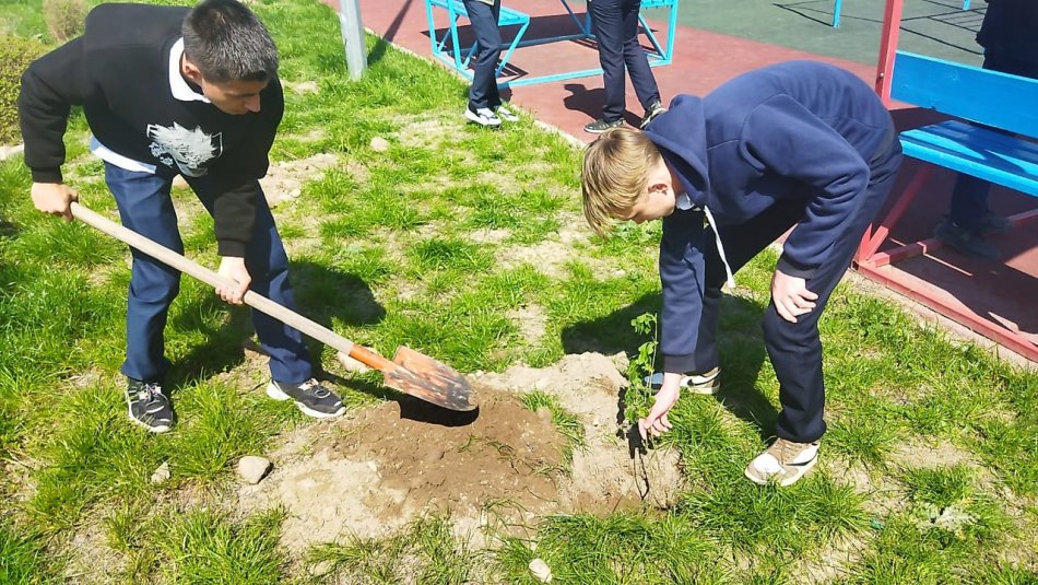 Экологическая акция: По проекту Школа - второй дом!