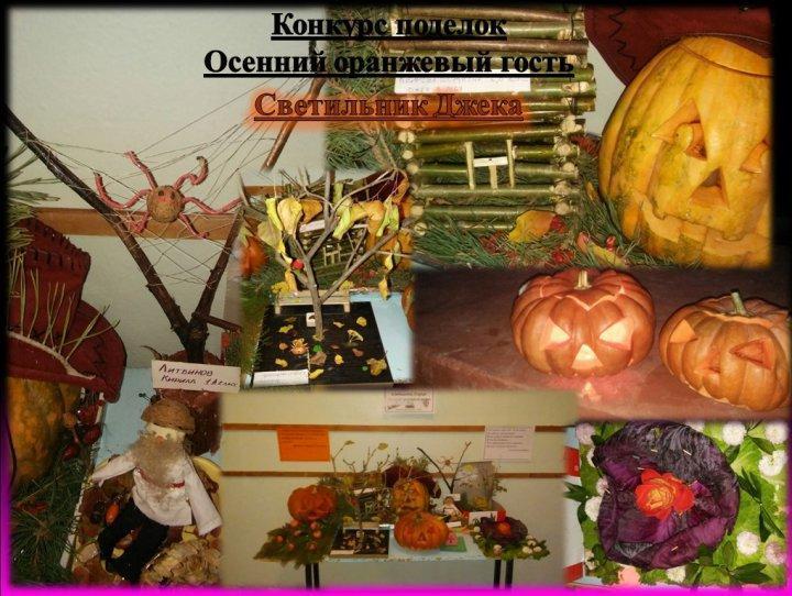 Осенний оранжевый гость